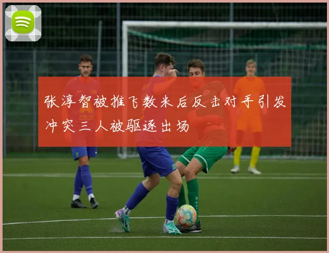 张淳智被推飞数米后反击对手引发冲突三人被驱逐出场